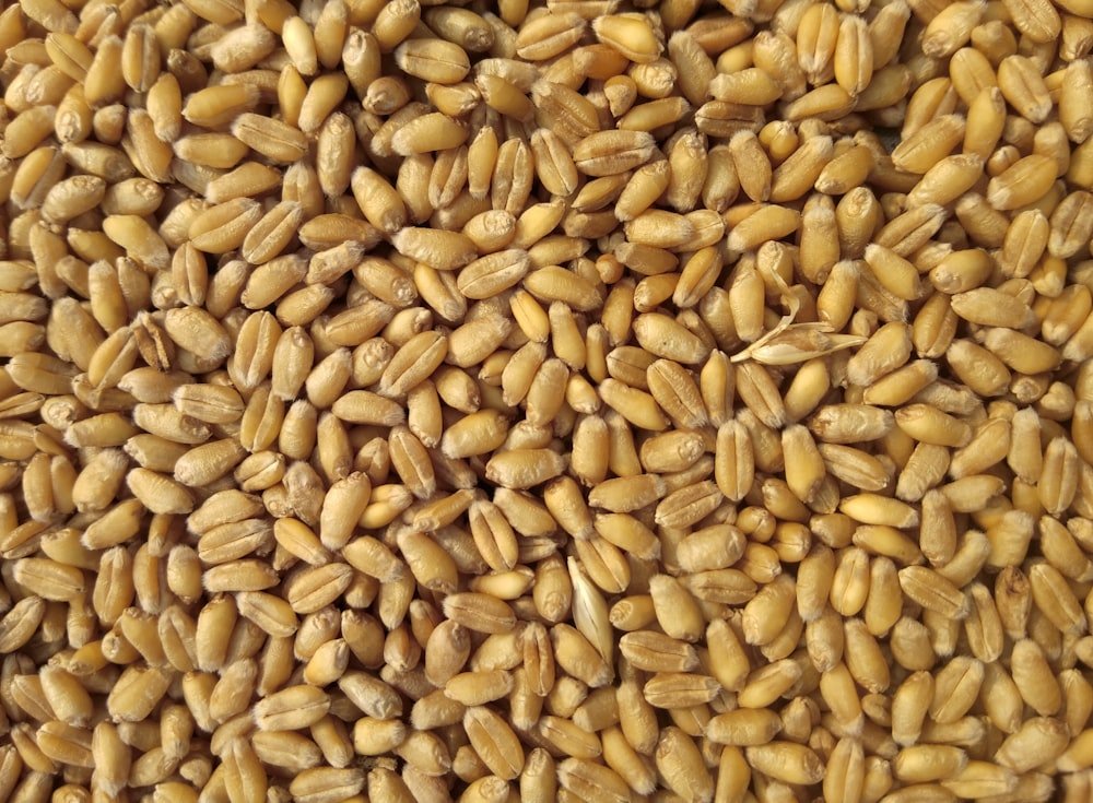 Millets feature